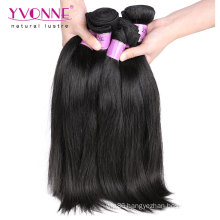 100% Human Hair Straight Malaysian Virgin Hair